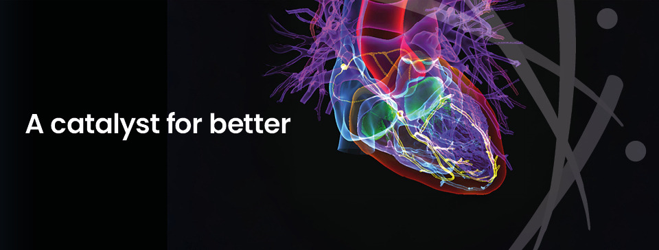 Superspreading and the evolution of virulence