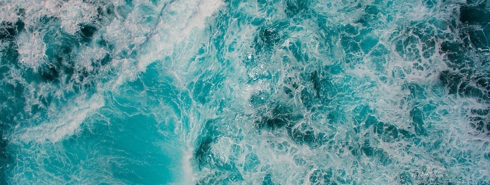 Discover recent PLOS Climate publications