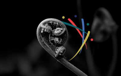 Images (1200x628px) web page feature image - LEAF