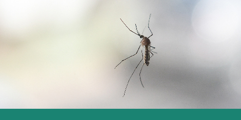 PLOS Neglected Tropical Diseases