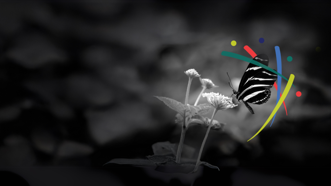 The PLOS logo appearing next to a butterfly perched on a flower