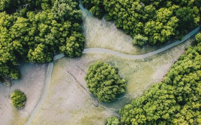 PLOS Nature-based Solutions for Climate and Water collection