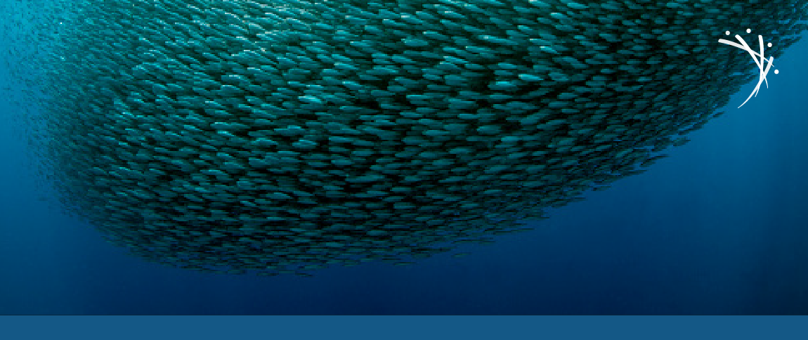 PLOS Complex Systems brand image